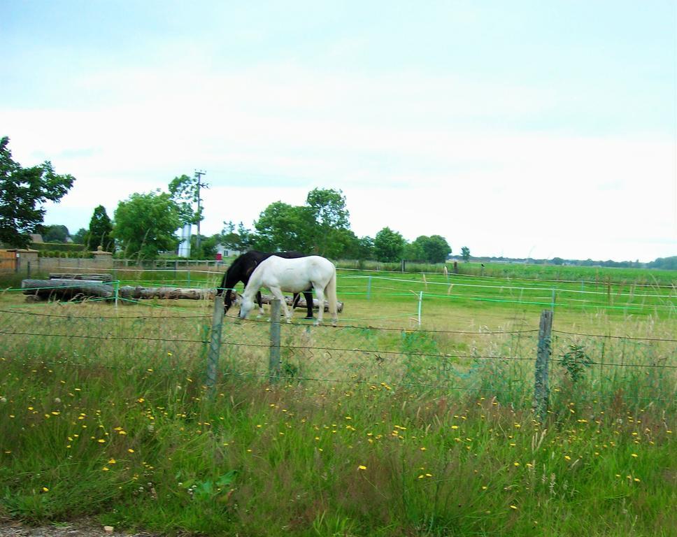 Riverview Country Park Holiday home Forres